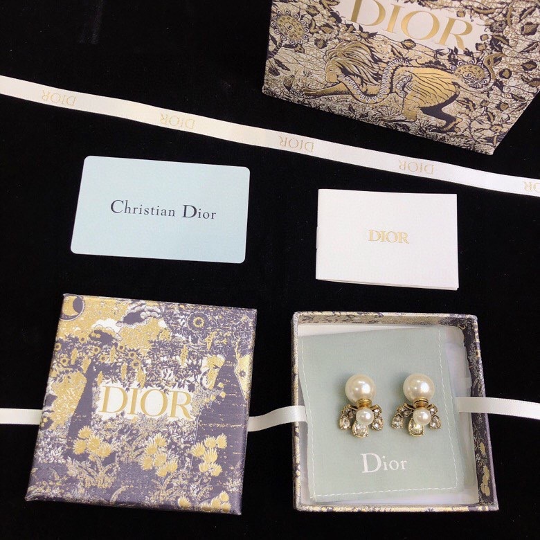 Christian Dior Earrings